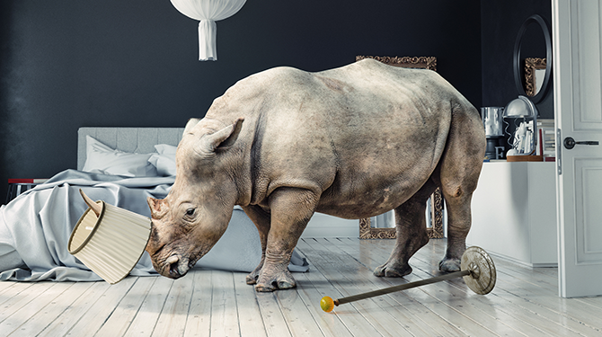 8 eenvoudige huismiddeltjes om een neushoorn uit je woning te jagen