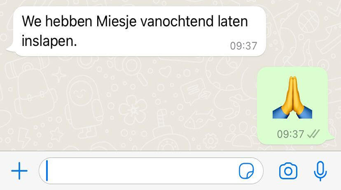Wesley niet zeker of hij heeft gereageerd met biddende handjes of een high five