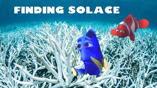 Derde deel in Finding Nemo-filmreeks krijgt duister einde met fatale koraalverbleking
