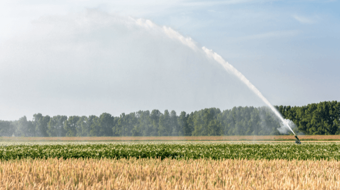 Droogte in Nederland: moeten we de waterkraan in Groningen opendraaien?