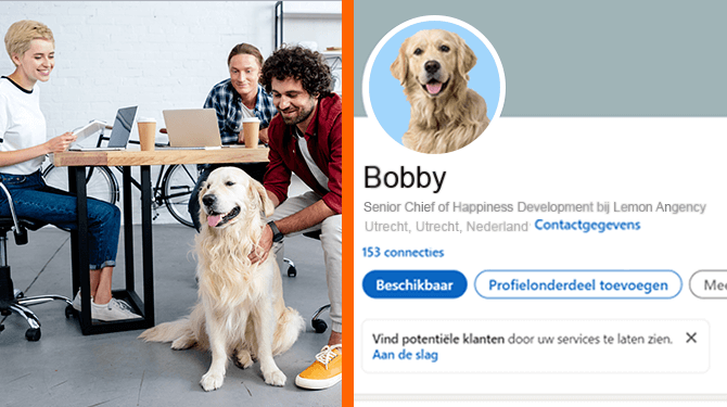 Kantoorhond noemt zichzelf op LinkedIn Senior Chief of Happiness Development