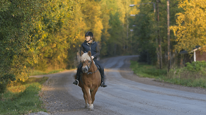 Bezoeker Slagharen zat urenlang vast op de rug van een pony