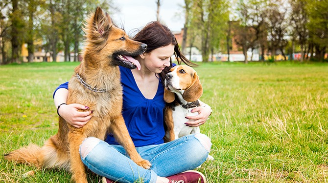 Is het een fun fact of heb je gewoon twee honden?