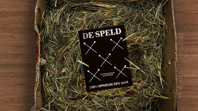 Man stopt cadeau in met hooi gevulde doos en noemt het een surprise