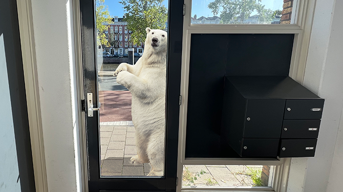 Dierendag: wij zetten onze ijsbeer in het zonnetje
