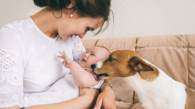 Vrouw praat zo hoog tegen baby dat hond antwoordt