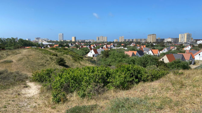 Het is vandaag heerlijk weer om door de duinen te struinen