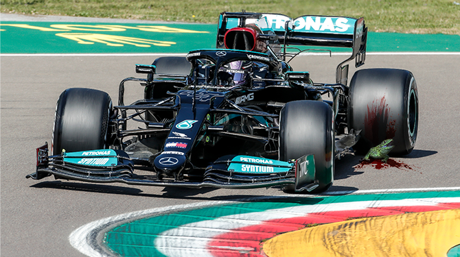 Hamilton juicht na doodrijden beschermde zandhagedis