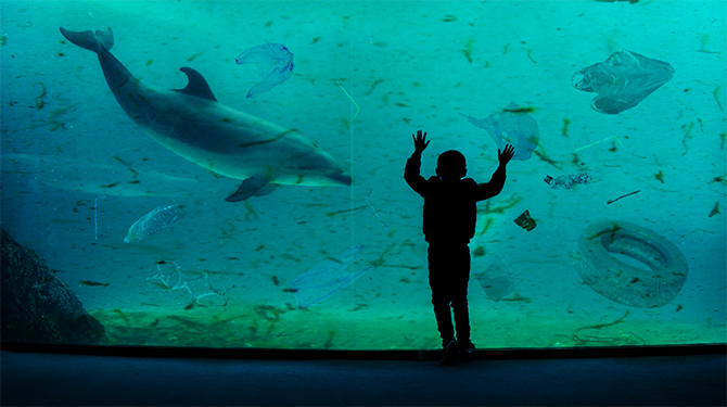 Dolfinarium flikkert 600 ton plastic in aquarium zodat zeedieren zich thuis voelen