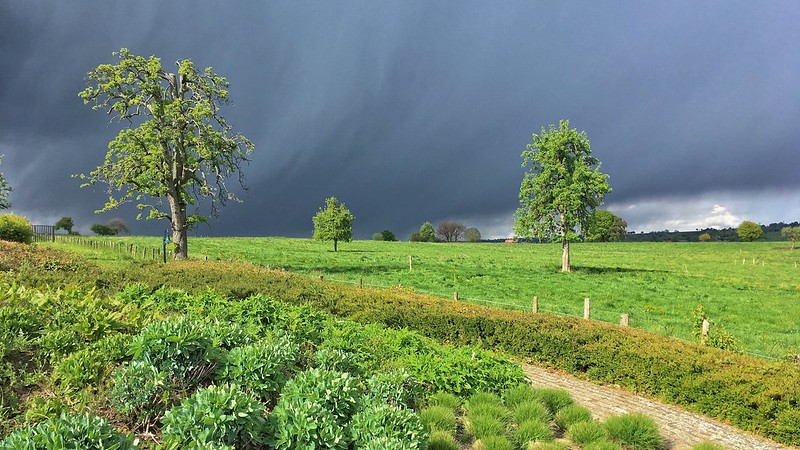 Wist je dat Nederlanders één woord hebben voor ‘broeierig’?