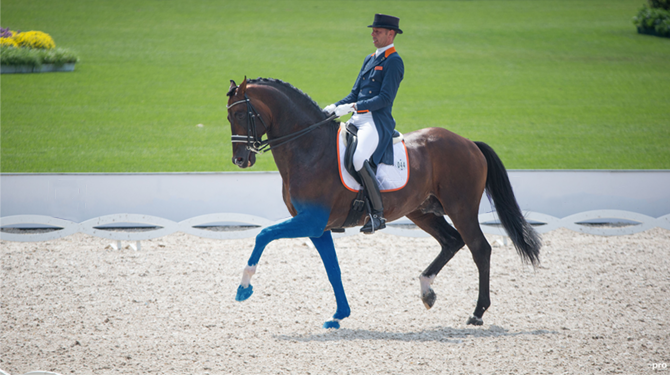 Swapfiets sponsort ook Nederlandse dressuurploeg