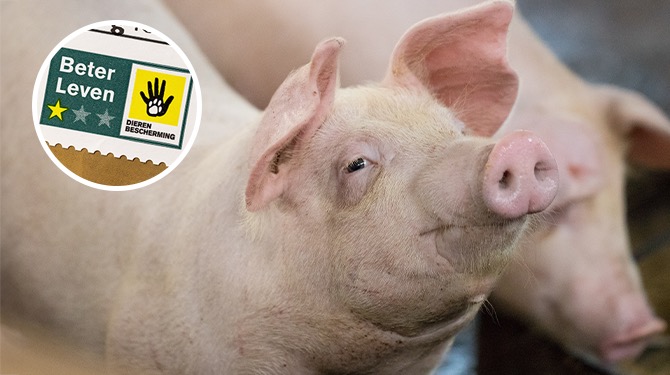 ​Varken diep verontwaardigd over een-ster-beoordeling van zijn leven