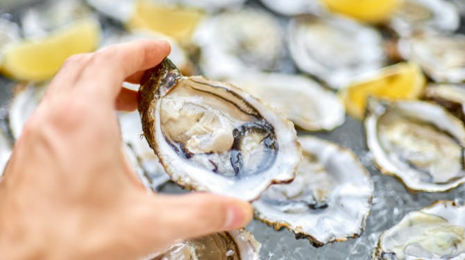 Oester vindt het ook geil om gegeten te worden