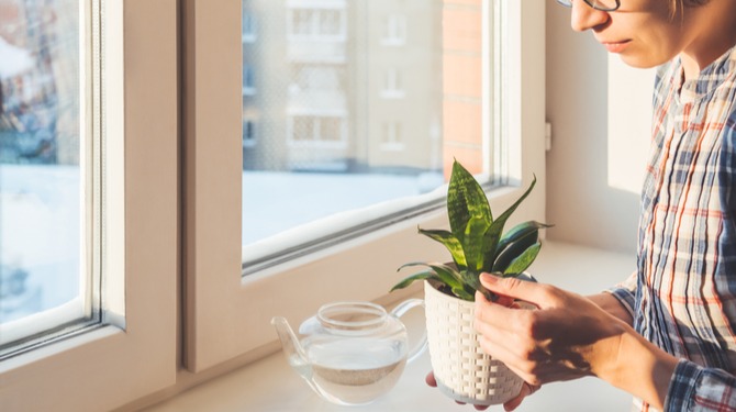 Annelies heeft een tiny garden in de vensterbank staan