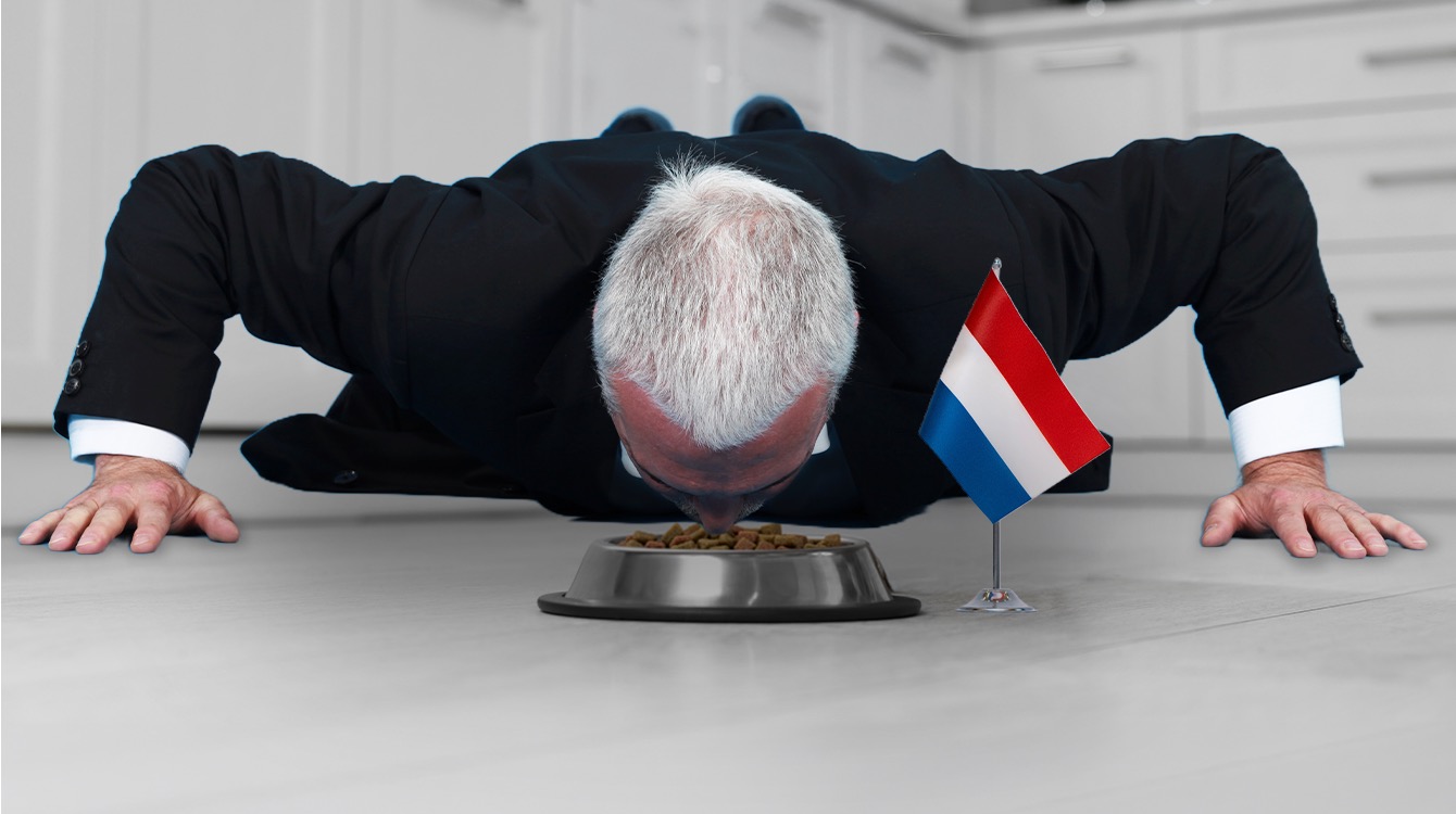 Worden we wereldkampioen? Duitse econoom kroop naar het Nederlandse bakje met kattenvoer