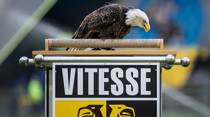 Zeearend Vitesse gaat naar dierentuin in Denemarken