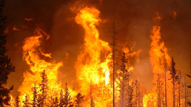 Hadden wetenschappers niet een paar jaar terug kunnen waarschuwen voor klimaatverandering?