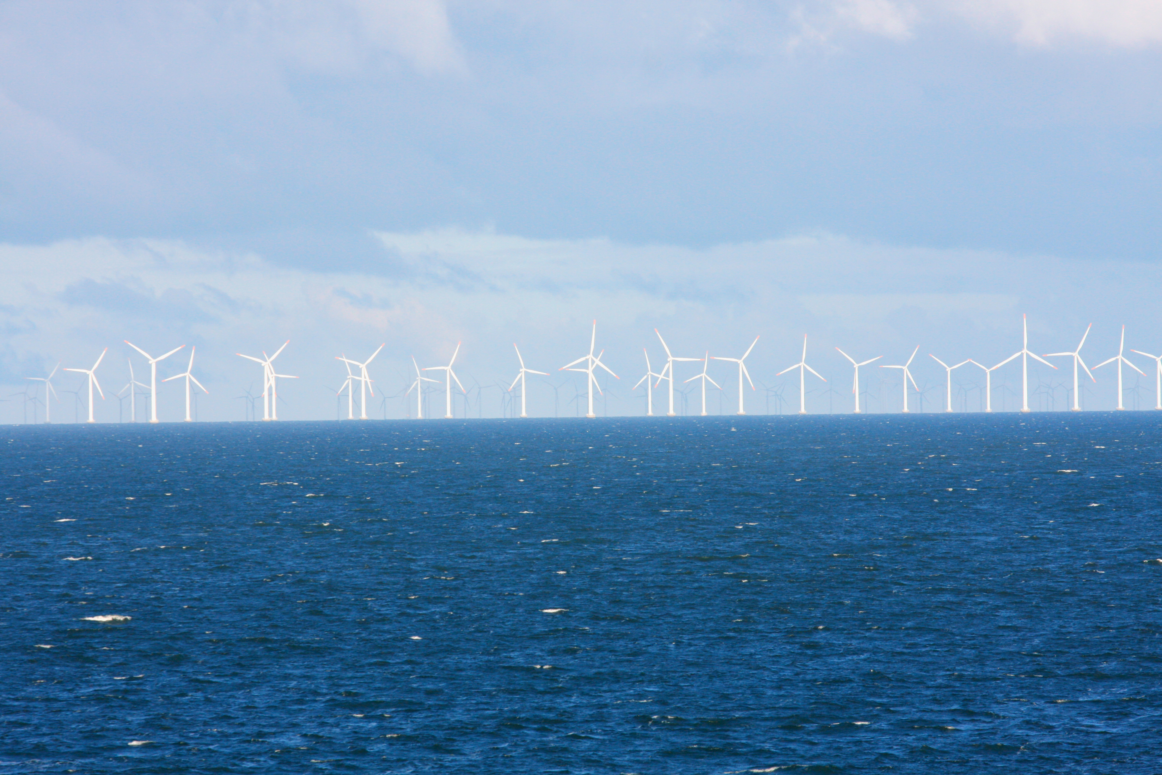 Windmolenpark gaat naast energie opwekken en zeewier kweken ook dropshippen