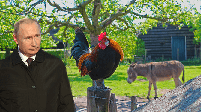 Als de NAVO niet was uitgebreid was Poetin een kinderboerderij begonnen