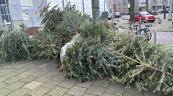 Kerstbomenstapel aangewezen als Natura 2000-gebied
