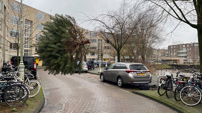 Code geel: kans op vliegende kerstbomen