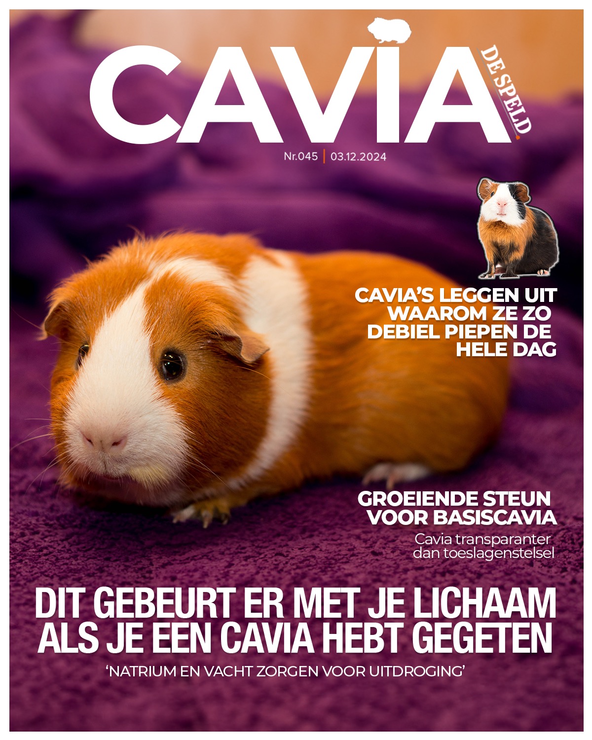 De Speld Magazine: Dit gebeurt er met je lichaam als je een cavia hebt gegeten