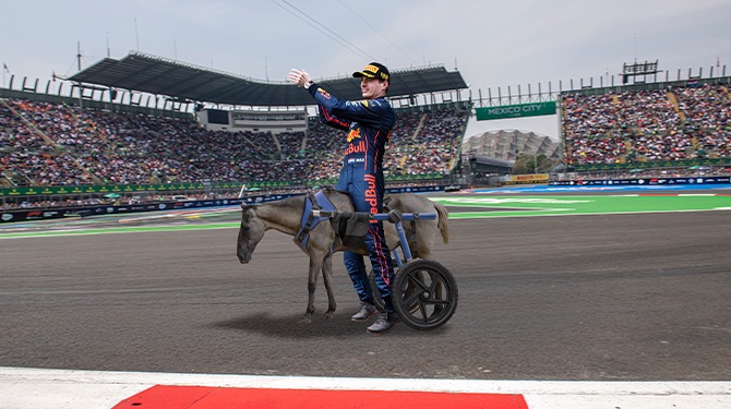 Verstappen is snel in zijn Formule 1-auto maar kan hij het ook op onze kreupele pony Joerno?