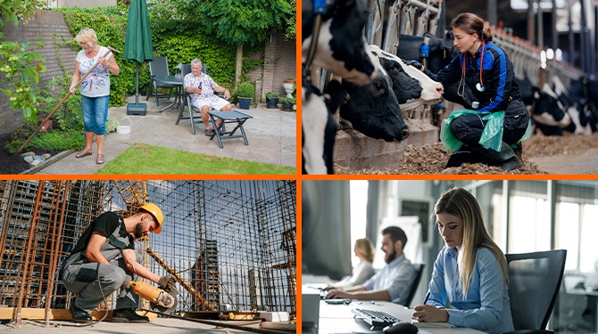 Alle 9 types hardwerkende Nederlanders op een rij