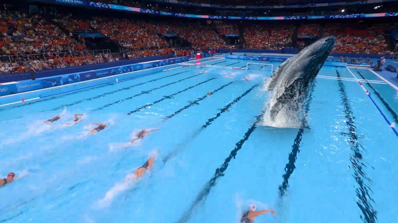 Walvis steelt de show tijdens waterpolowedstrijd