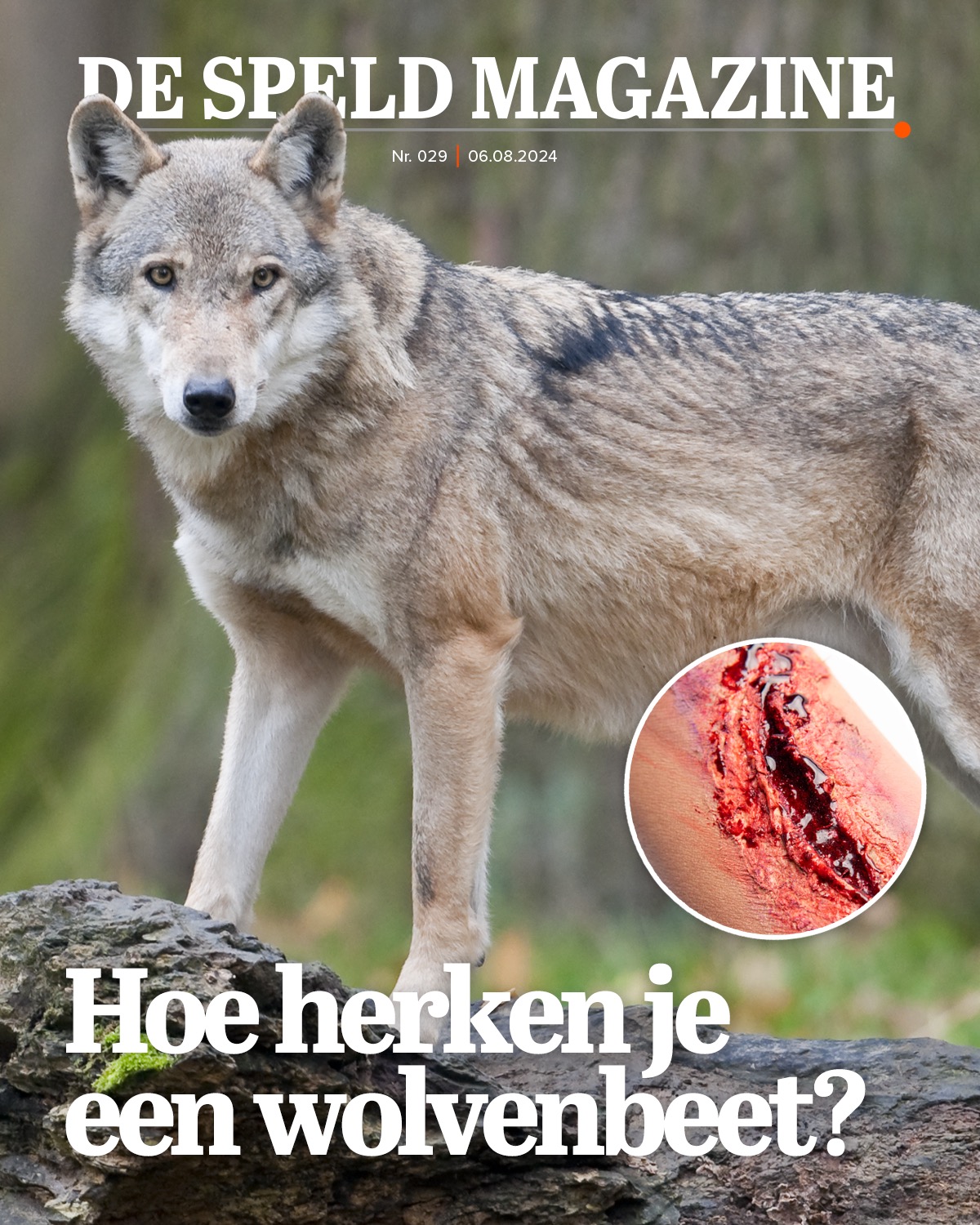 De Speld Magazine: Hoe herken je een wolvenbeet?