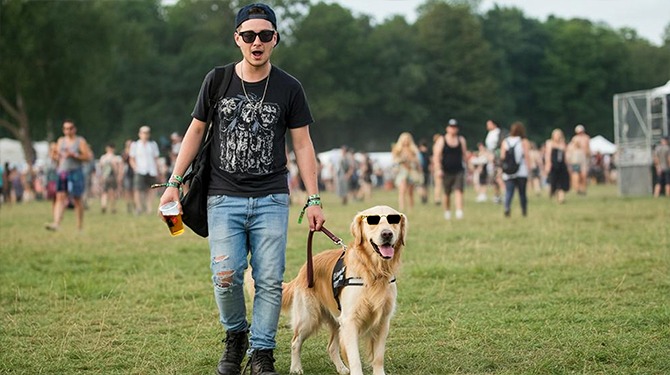 Drugsgeleidehond helpt Xander zijn tentje weer te vinden op de festivalcamping