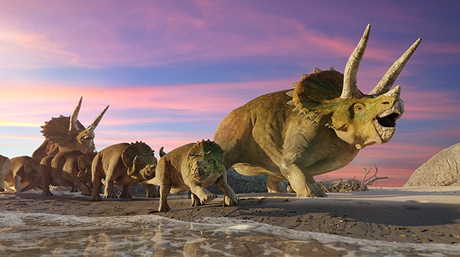 Triceratops was echt een dinodino