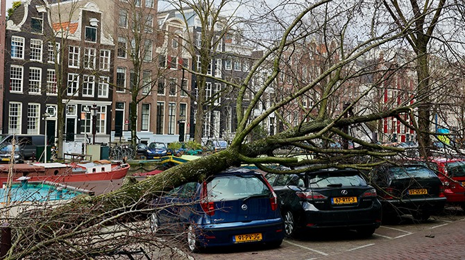 Boom stelt voor dat Marit vandaag thuis werkt