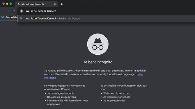Dit zijn de 16 opvallendste incognito zoektermen van 2023