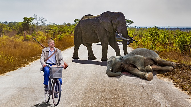 Staatsbezoek Zuid-Afrika: Willem-Alexander gaat ‘even blokje om’ in Kruger Park
