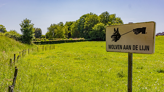 Wolven mogen alleen nog maar aangelijnd rondlopen