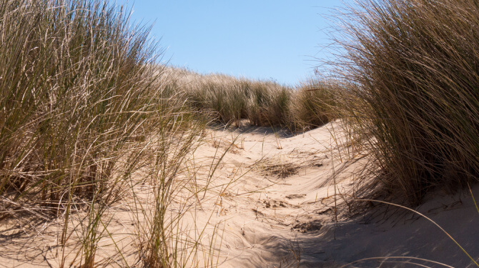 Niet vliegen in Europa en niet neuken in de duinen, wat mag je in hemelsnaam nog wel deze zomer?