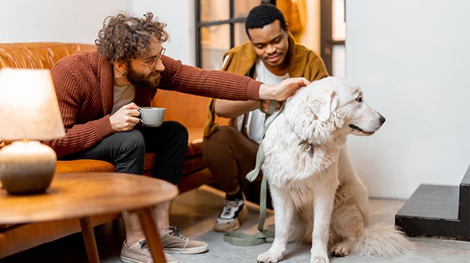 Hond aan opgewonden geblaf te horen erg blij dat hij in krappe bovenwoning middenin centrum woont