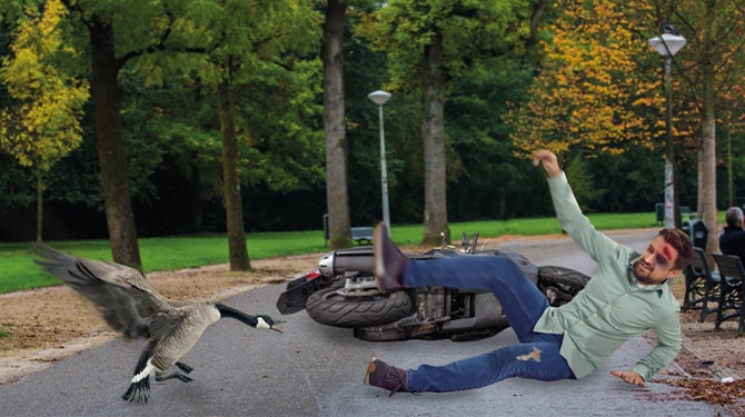 5 zeer specifieke gebeurtenissen die ook jou kunnen overkomen