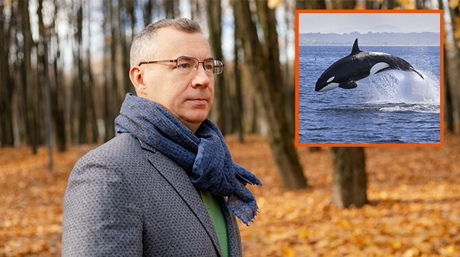 Orka heeft tóch natuurlijke vijand: de 54-jarige Gerard uit Kerkrade