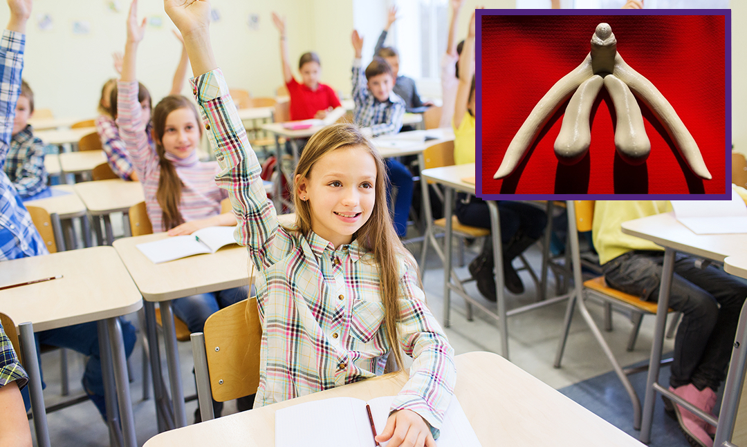 Conclusie Lentekriebelsweek: 89% van kinderen weet nu waar de clitoris zit tegenover 40% volwassenen