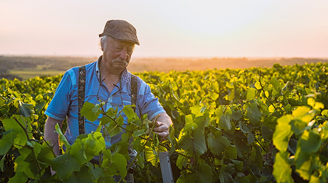 In Parijs hebben ze geen benul wat er in de Provence speelt