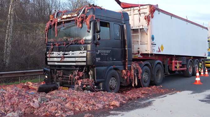 Een ding is zeker: wij gaan nooit meer rauw slachtafval eten uit de aanhanger van een vrachtwagen