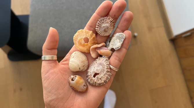 Handje schelpen valt bij thuiskomst toch een beetje tegen