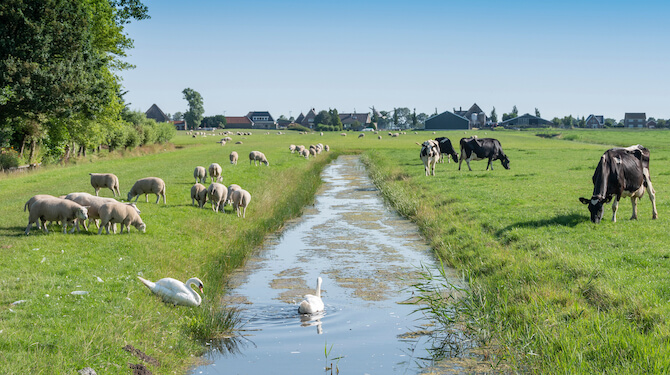 Kloof tussen regio, platteland, provincie en streek steeds groter