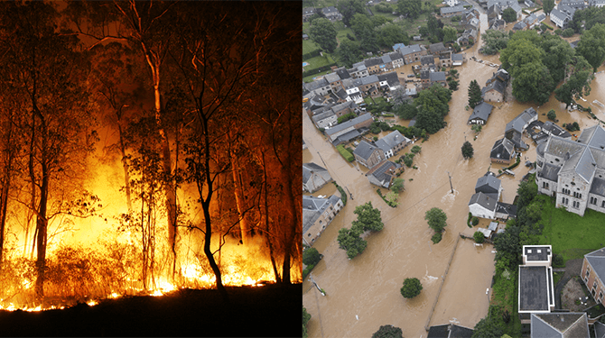 De Speld Kerstpuzzel: kun jij deze klimaatcrisis oplossen?