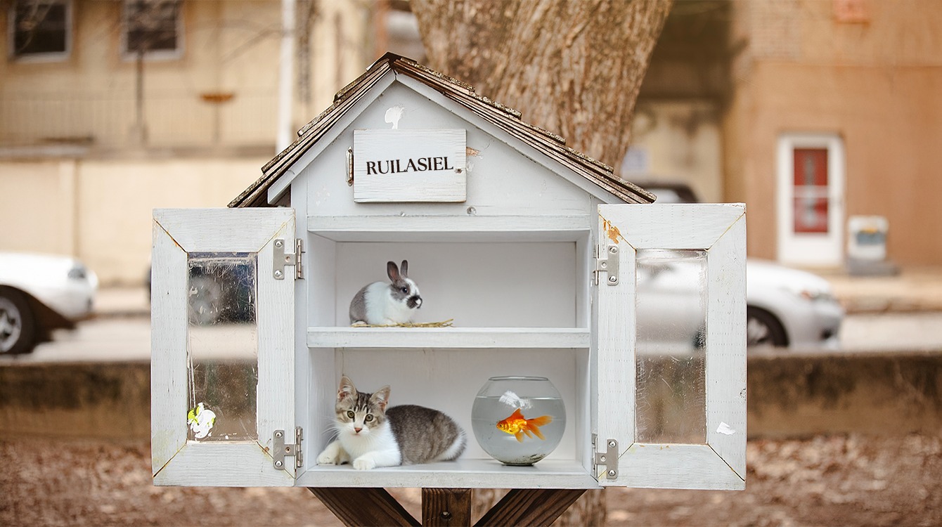 In het ruilasiel kun je je huisdier gratis omruilen voor een leuker exemplaar