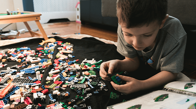Drama voor Liam (6): moet Lego-bouwproject stopzetten wegens ontbreken geldige natuurvergunning voor stikstof