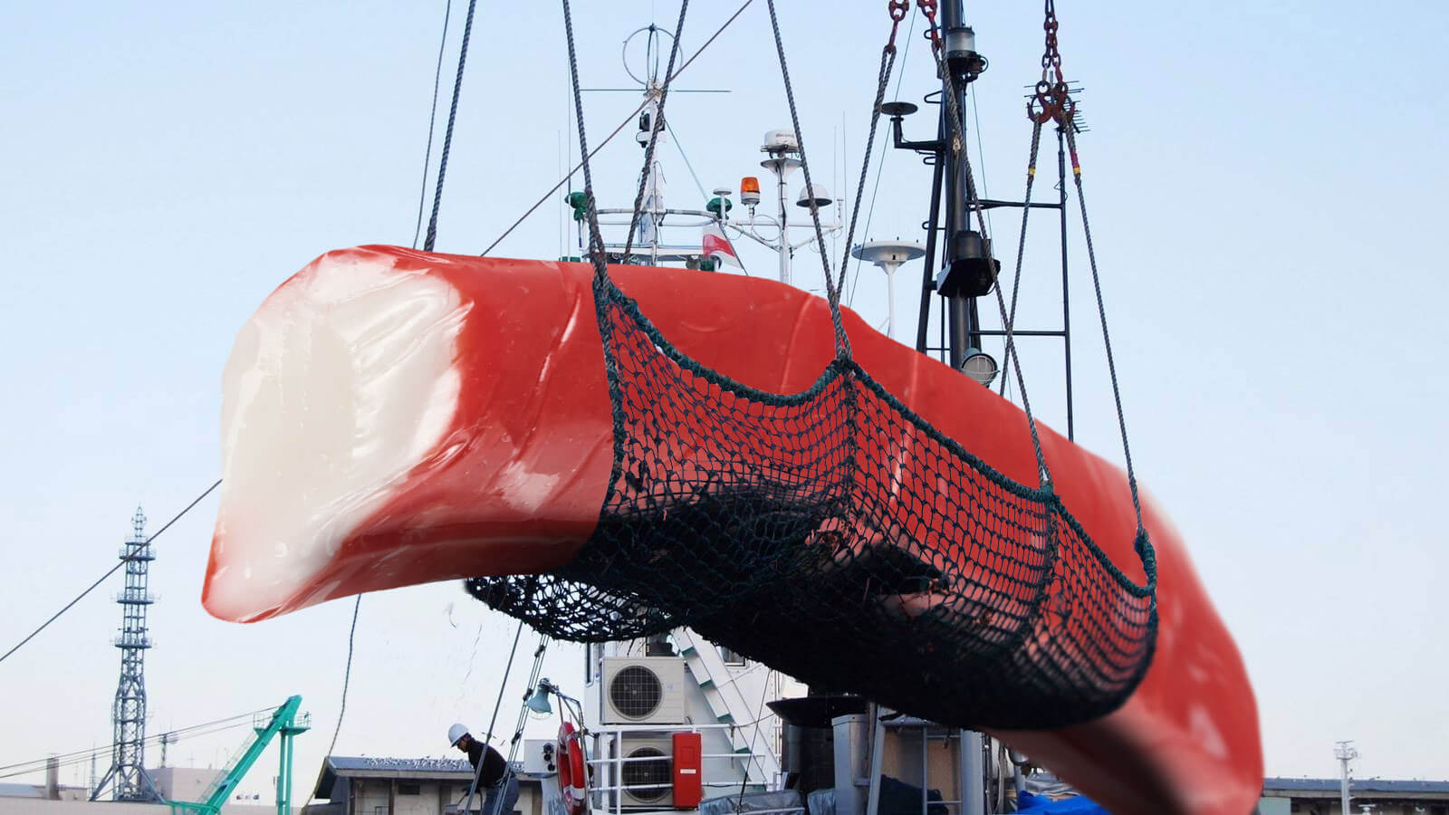 Visserijbedrijf vangt surimi van bijna 40 ton