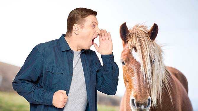 Guido is paardenschreeuwer